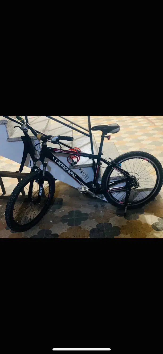 دوچرخه حرفه‌ای|دوچرخه، اسکیت، اسکوتر|آستارا, |دیوار