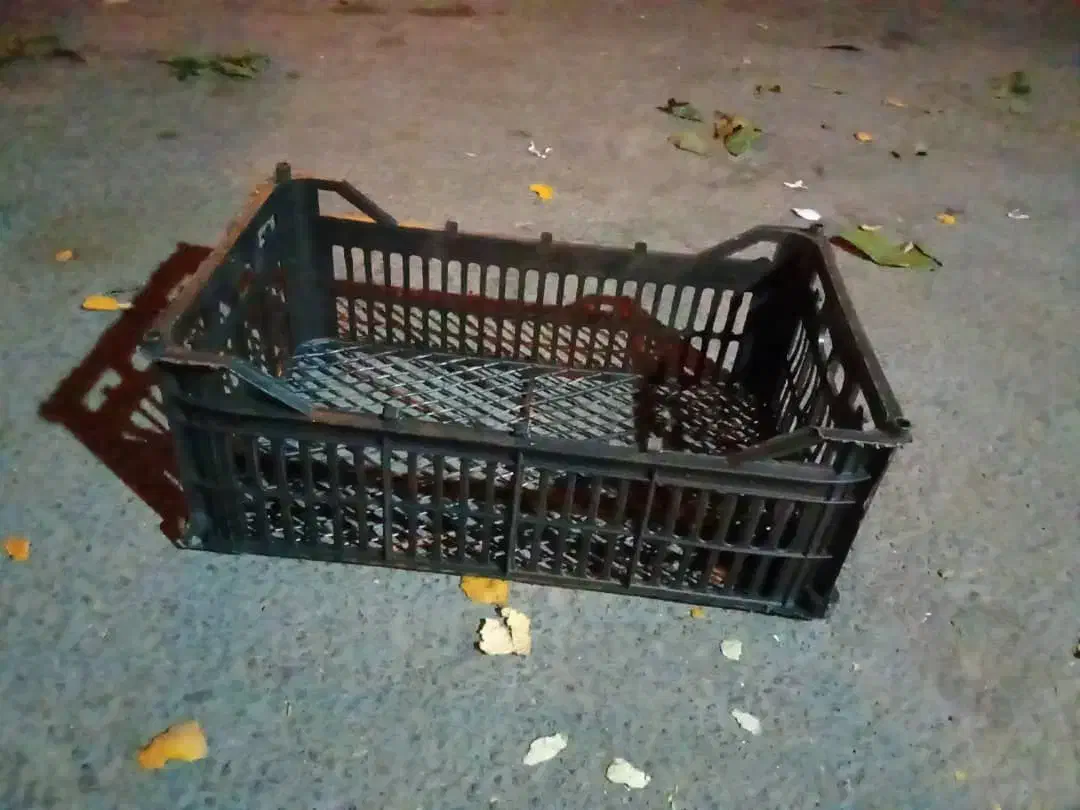 سبدتابوتی ۳۰در۵۰|ظروف نگهدارنده، پلاستیکی، یک‌بارمصرف|رودسر, |دیوار