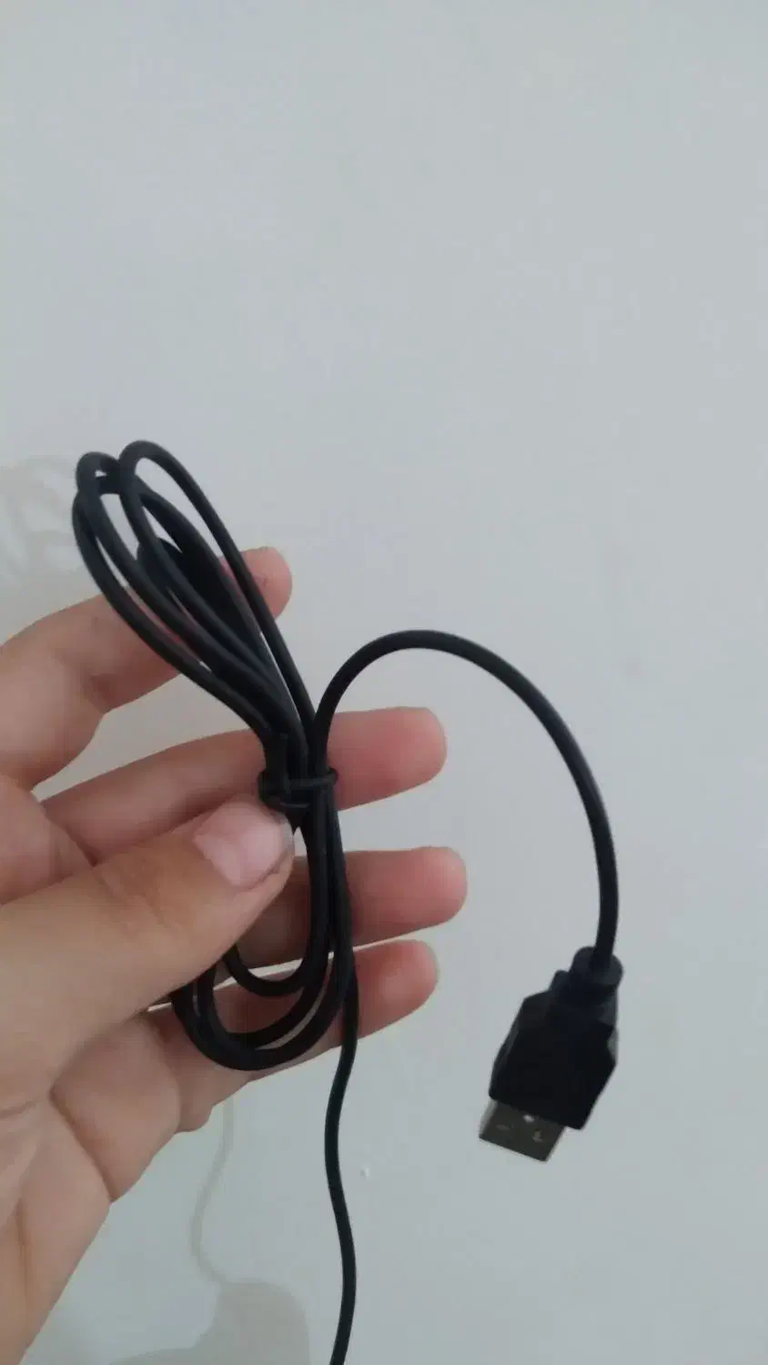 موس|قطعات و لوازم جانبی رایانه|اندیشه, اندیشه فاز ۲|دیوار