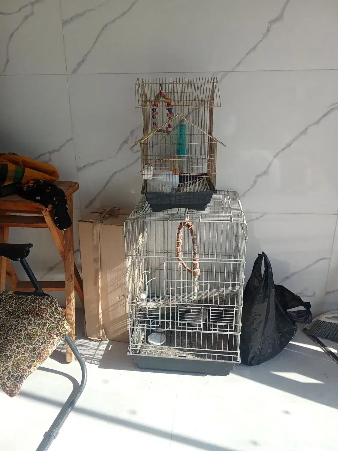 قفس مرغ عشق وطوطی|لوازم جانبی حیوانات|مرزیکلا, |دیوار