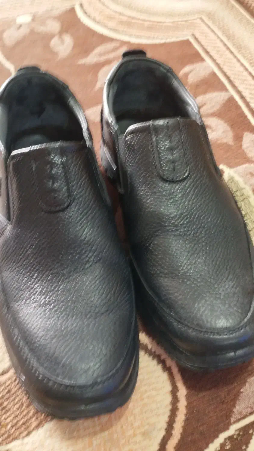 اهواز کوی آهن افشار بیمارستان کرمی|کیف، کفش، کمربند|اهواز, کمپلو شمالی|دیوار