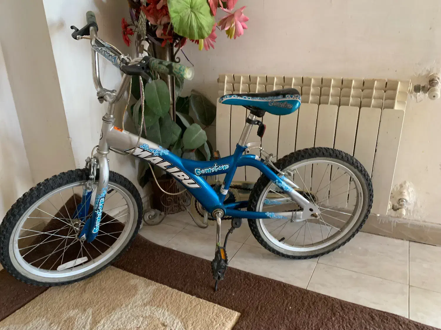 دوچرخه تایوانی اصل سایز ۲۰ بسیار سالم|دوچرخه، اسکیت، اسکوتر|تهران, تهرانپارس غربی|دیوار