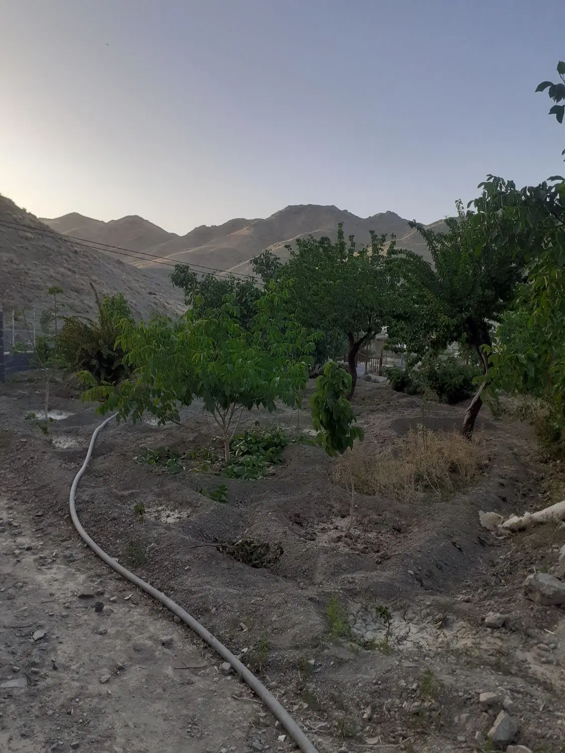 تصویر 7