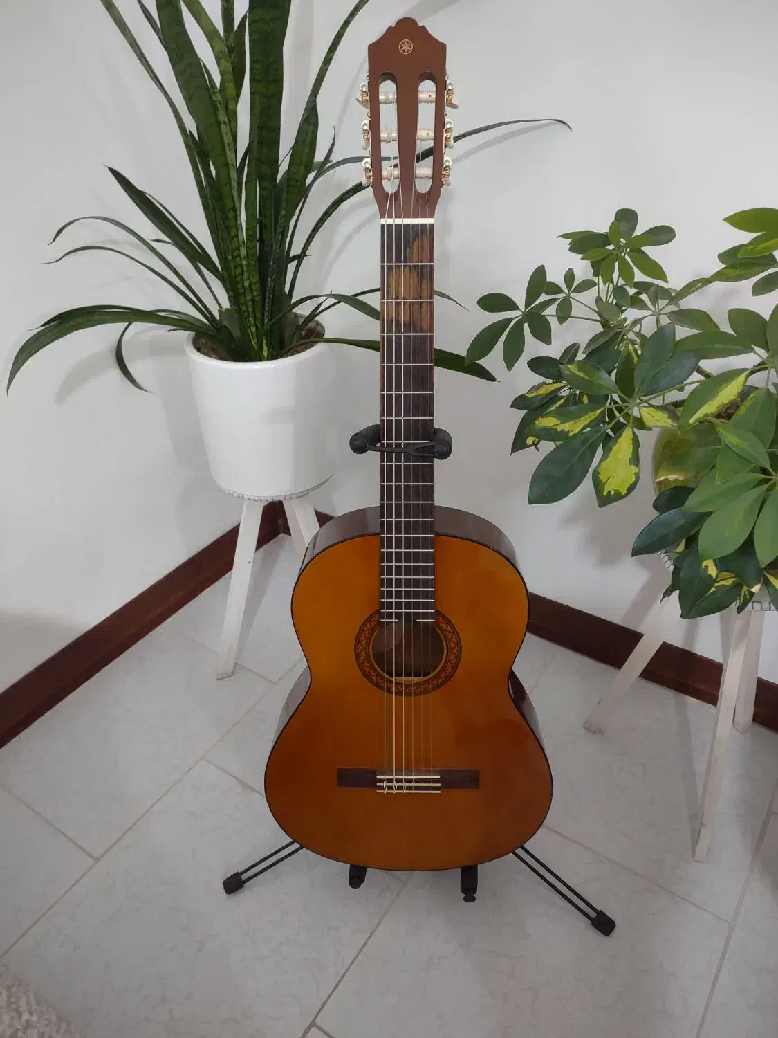 گیتار یاماها اصل مدل C40|گیتار، بیس، امپلیفایر|پردیس, فاز ۸|دیوار