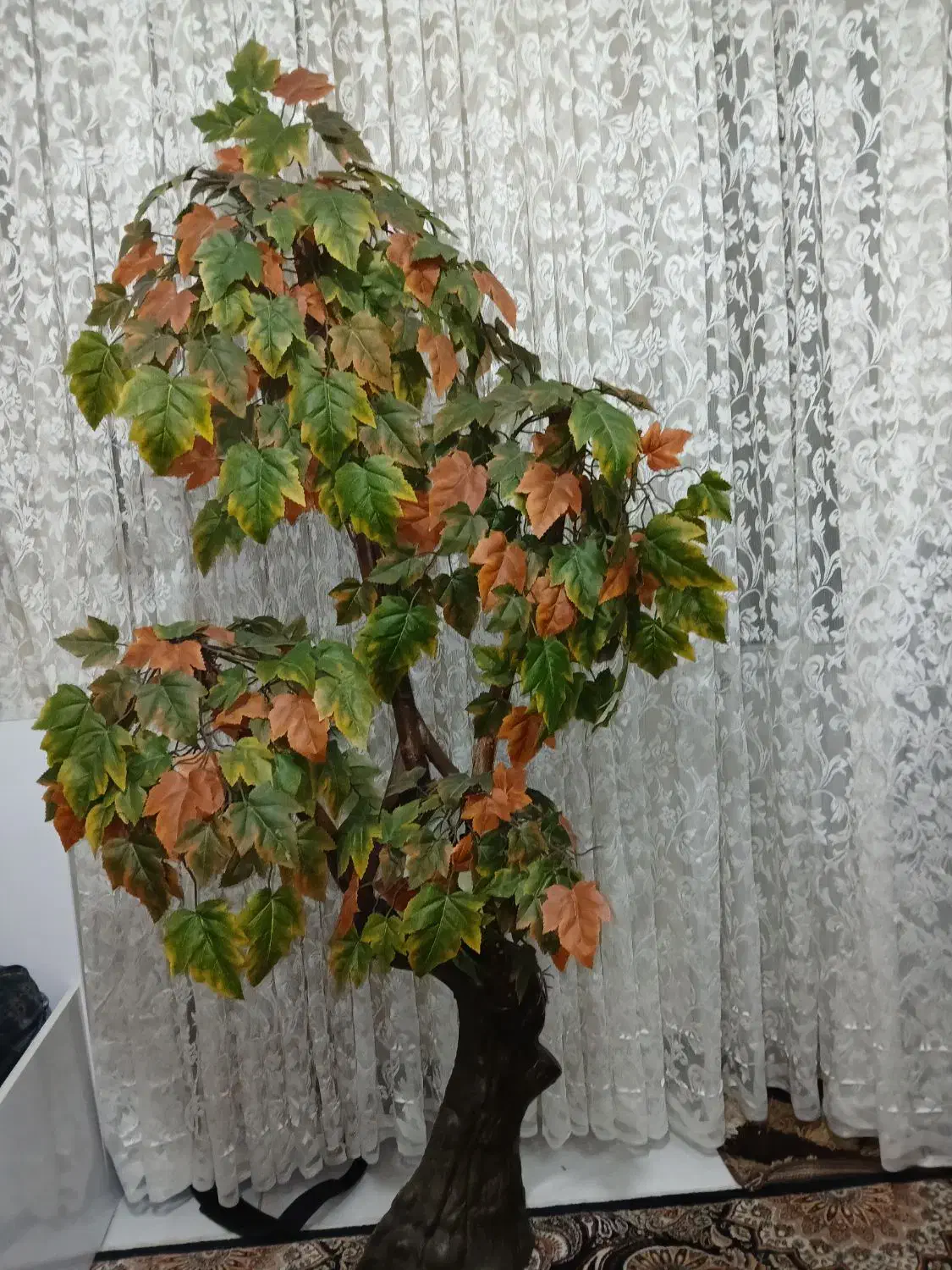 درختچه دکوری|گل مصنوعی|اراک, |دیوار