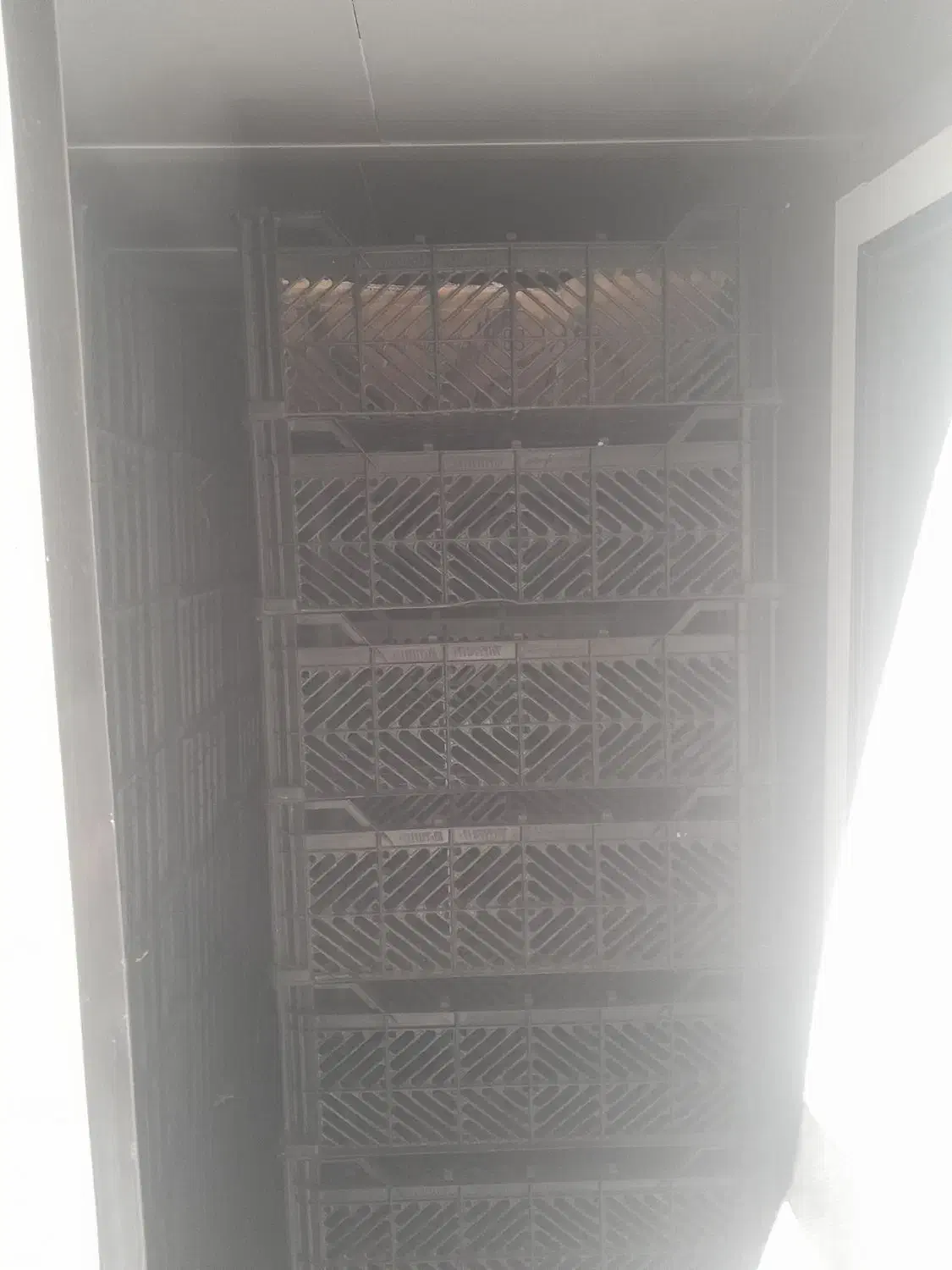 سبد صفر صفر|عمدهفروشی|مریوان, |دیوار