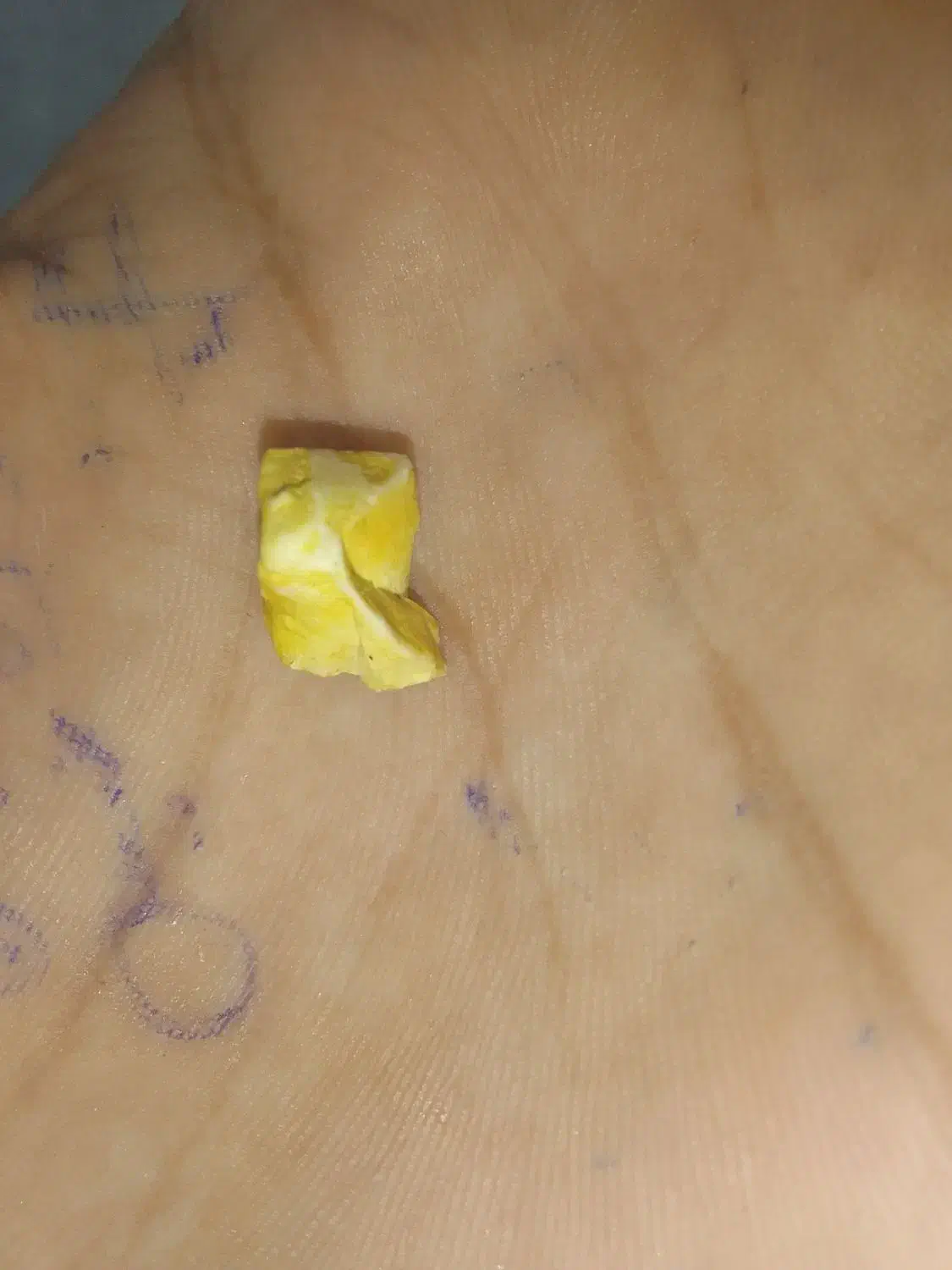 موره خر|بدلیجات|زابل, |دیوار