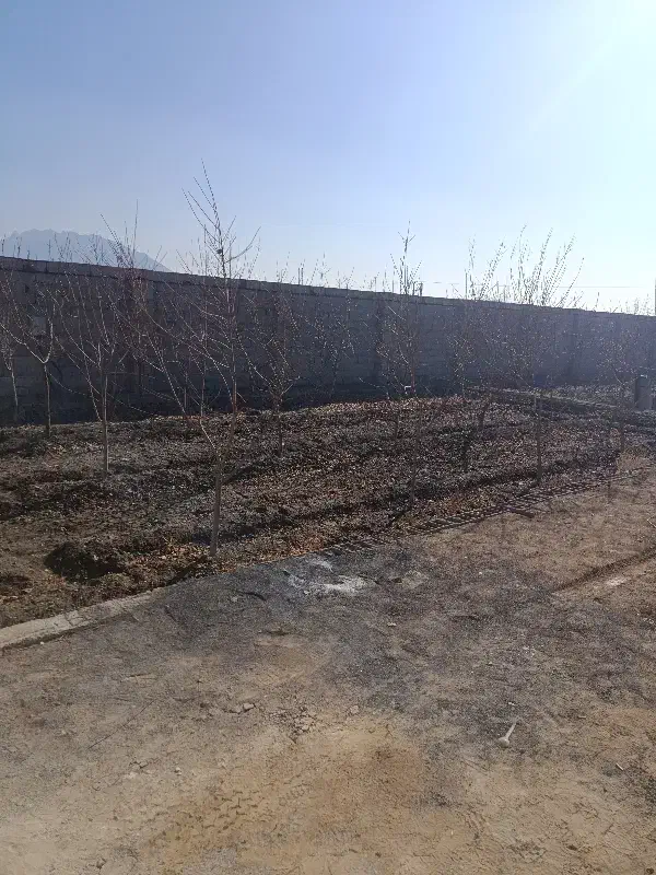 باغ|فروش زمین و ملک کلنگی|فلاورجان, |دیوار