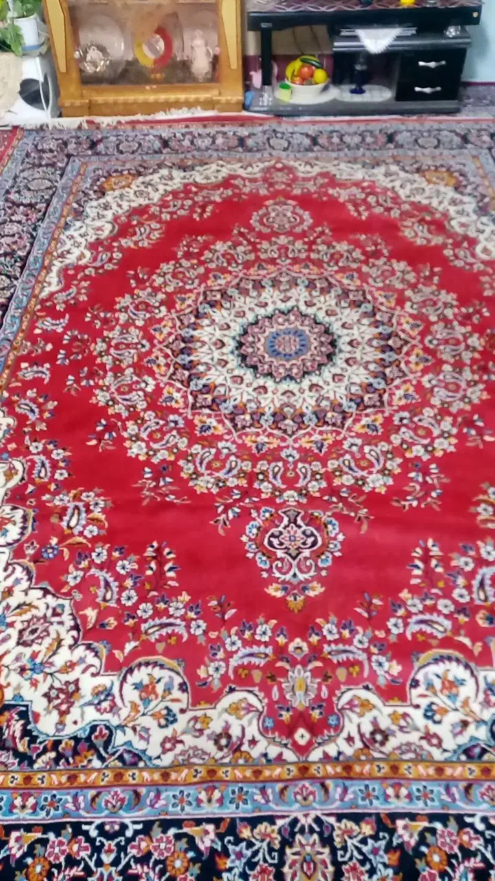 دوتا ۱۲ متری|فرش|سبزوار, امام خمینی (ناوی)|دیوار