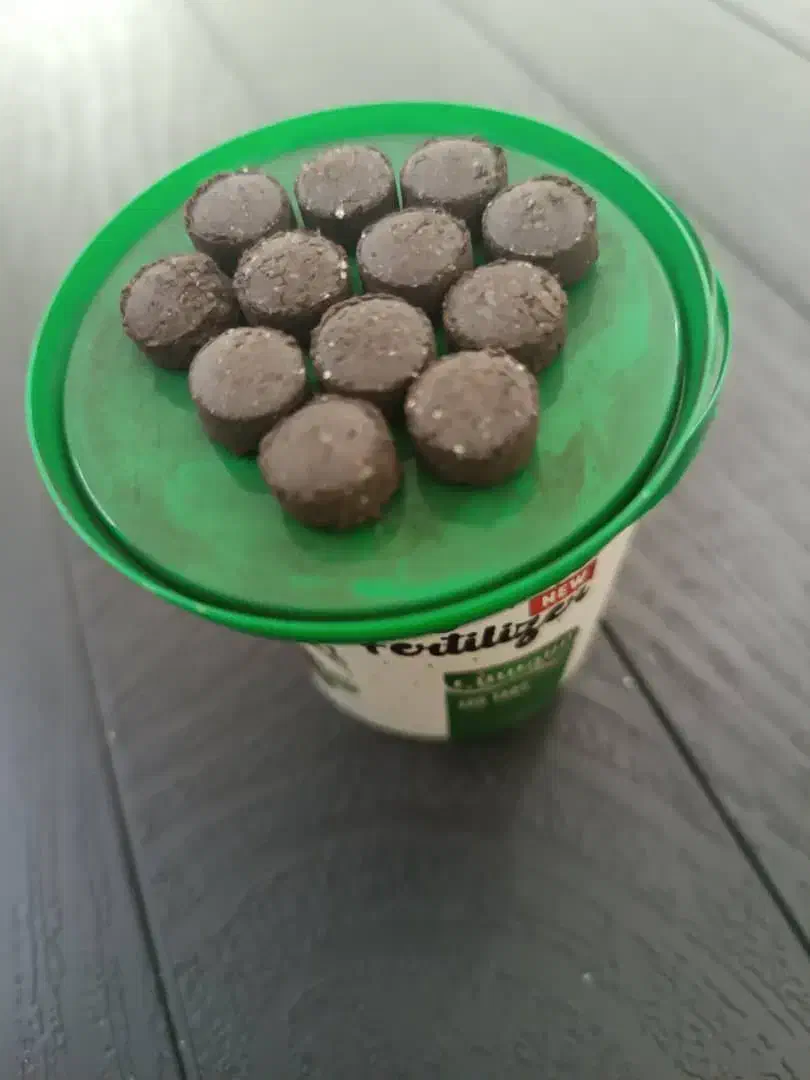 قرص کود|گل و گیاه طبیعی|شیراز, سینما سعدی|دیوار