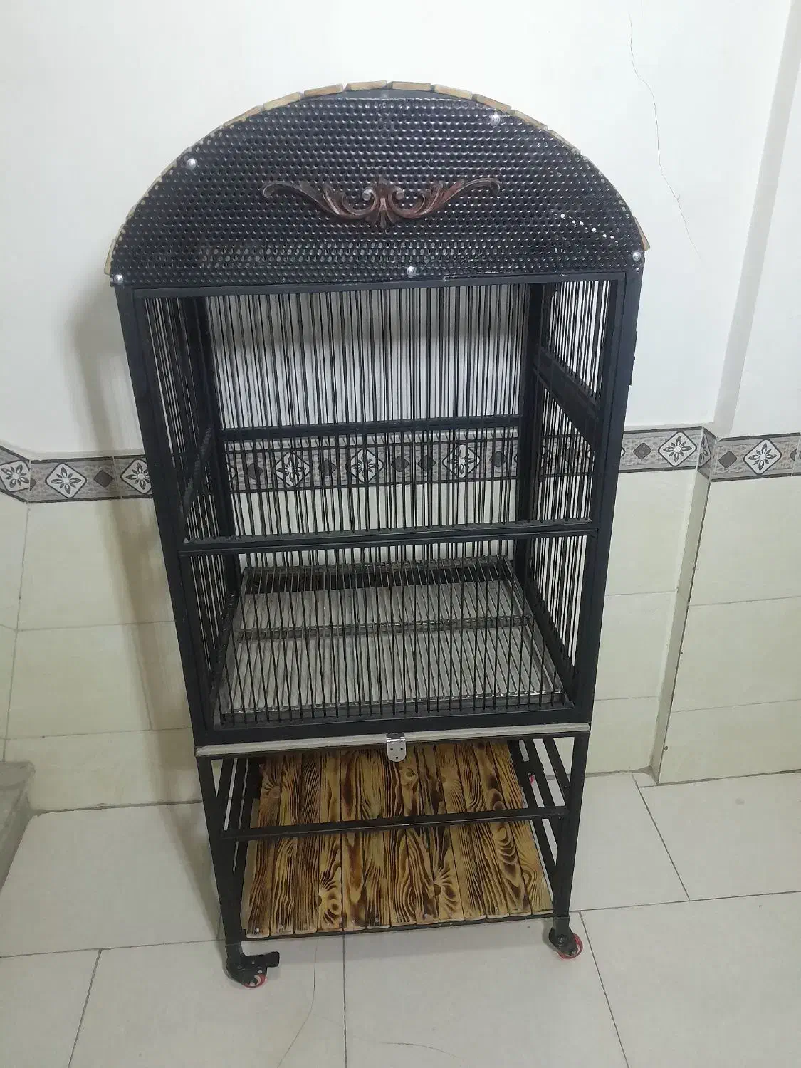 قفس چرخ دار پرنده نونو طوطی عروس هلندی کاسکو|لوازم جانبی حیوانات|مشکیندشت, |دیوار