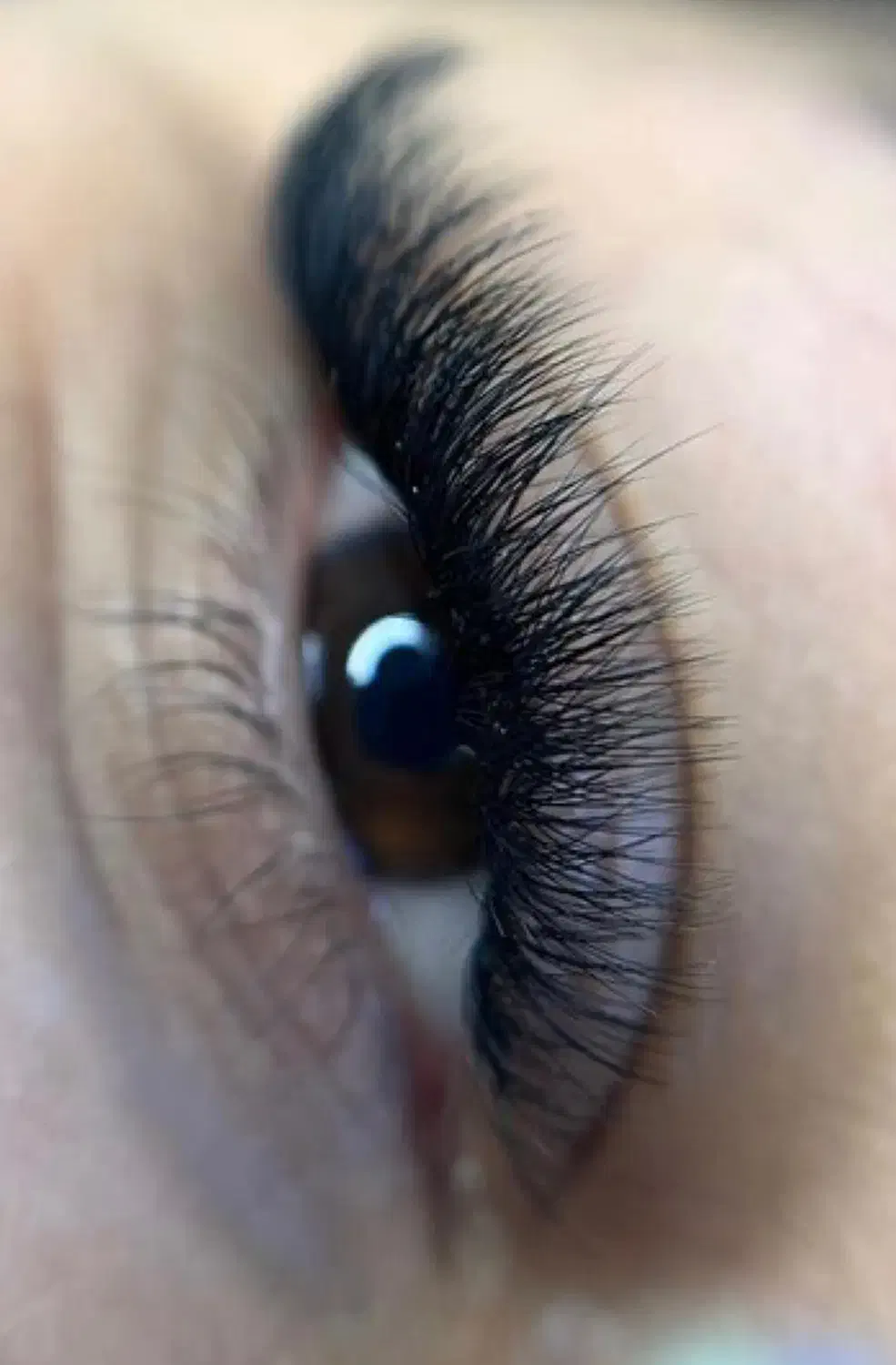 مدل مژه رایگان(والیوم)|خدمات آرایشگری و زیبایی|رفسنجان, |دیوار