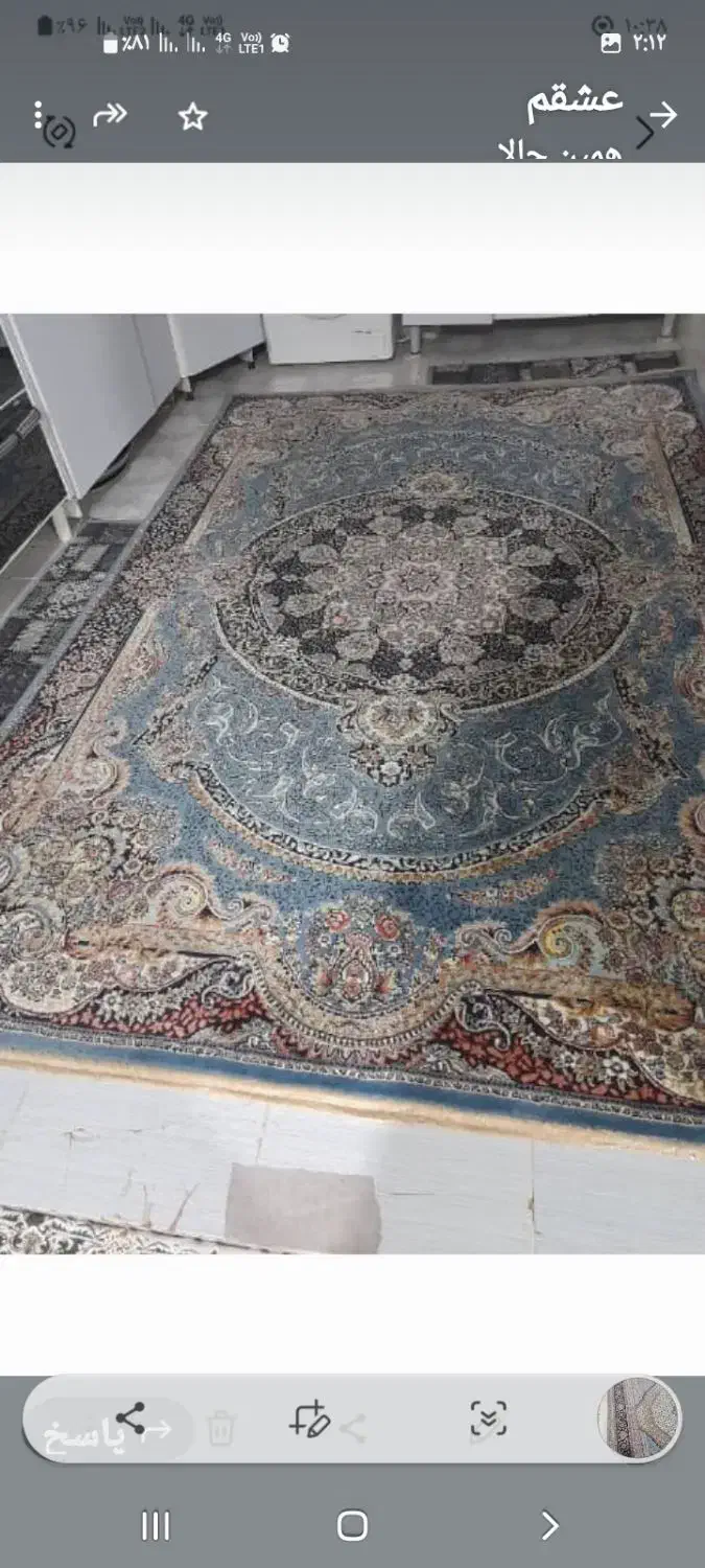 ۳عدد۶متری درحدنو ترتمیز|فرش|هشتگرد, هیو|دیوار