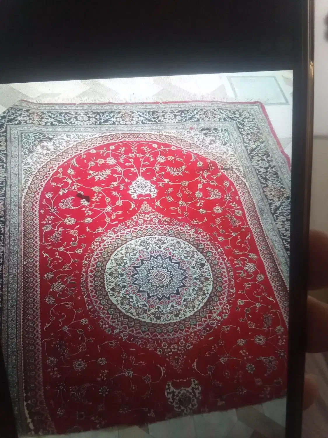 قالی ۶ متری|فرش|قم, سراجه (۱۵ خرداد)|دیوار