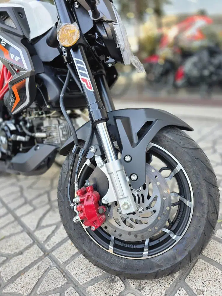 همراه Mini XR125 مدل ۱۴۰۵ صفر کیلومتر (جشنواره)|موتورسیکلت|تهران, تهرانپارس غربی|دیوار