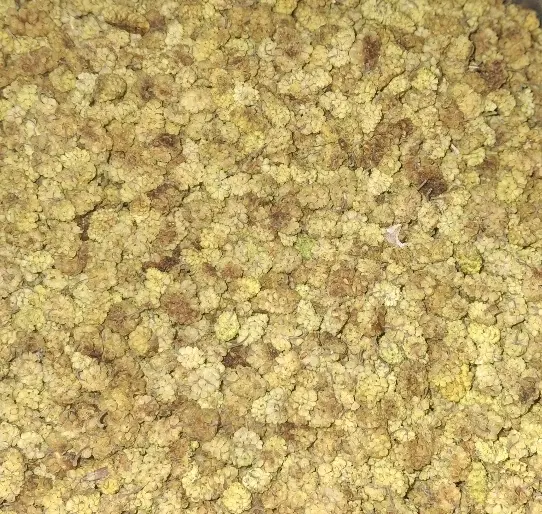 توت خشک|خوردنی و آشامیدنی|شیراز, باغشهر قصر سبز|دیوار