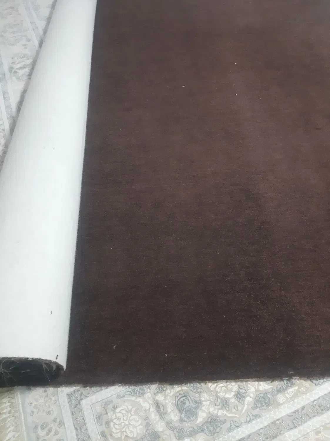 موکت|موکت|ایلام, |دیوار