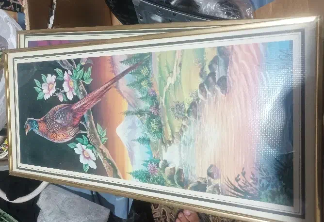 تابلو عکس|کلکسیون اشیاء عتیقه|بیرجند, |دیوار