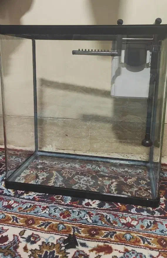 اکواریوم و فیلتر معاوضه با ماهی|ماهی|شیراز, شیشه‌گری|دیوار