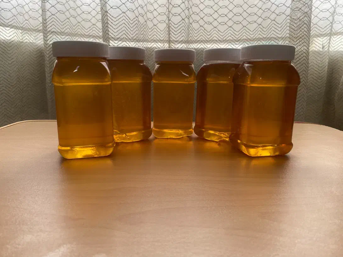 عسل طبیعی ارگانیک با برگه آزمایشگاه|خوردنی و آشامیدنی|قوچان, |دیوار