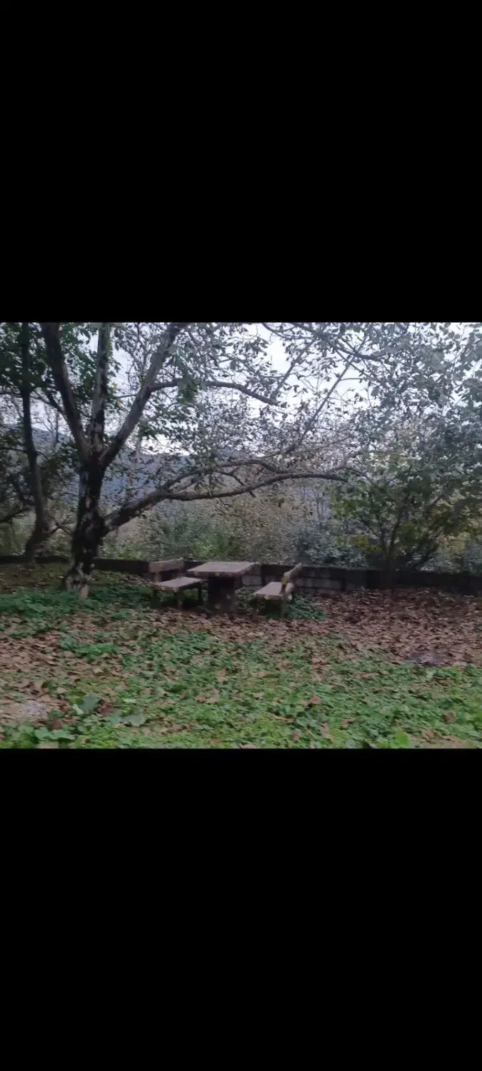 اجاره سوییت نوسازجنگلی روستایی|اجارهٔ کوتاهمدت آپارتمان و سوئیت|توتکابن, |دیوار