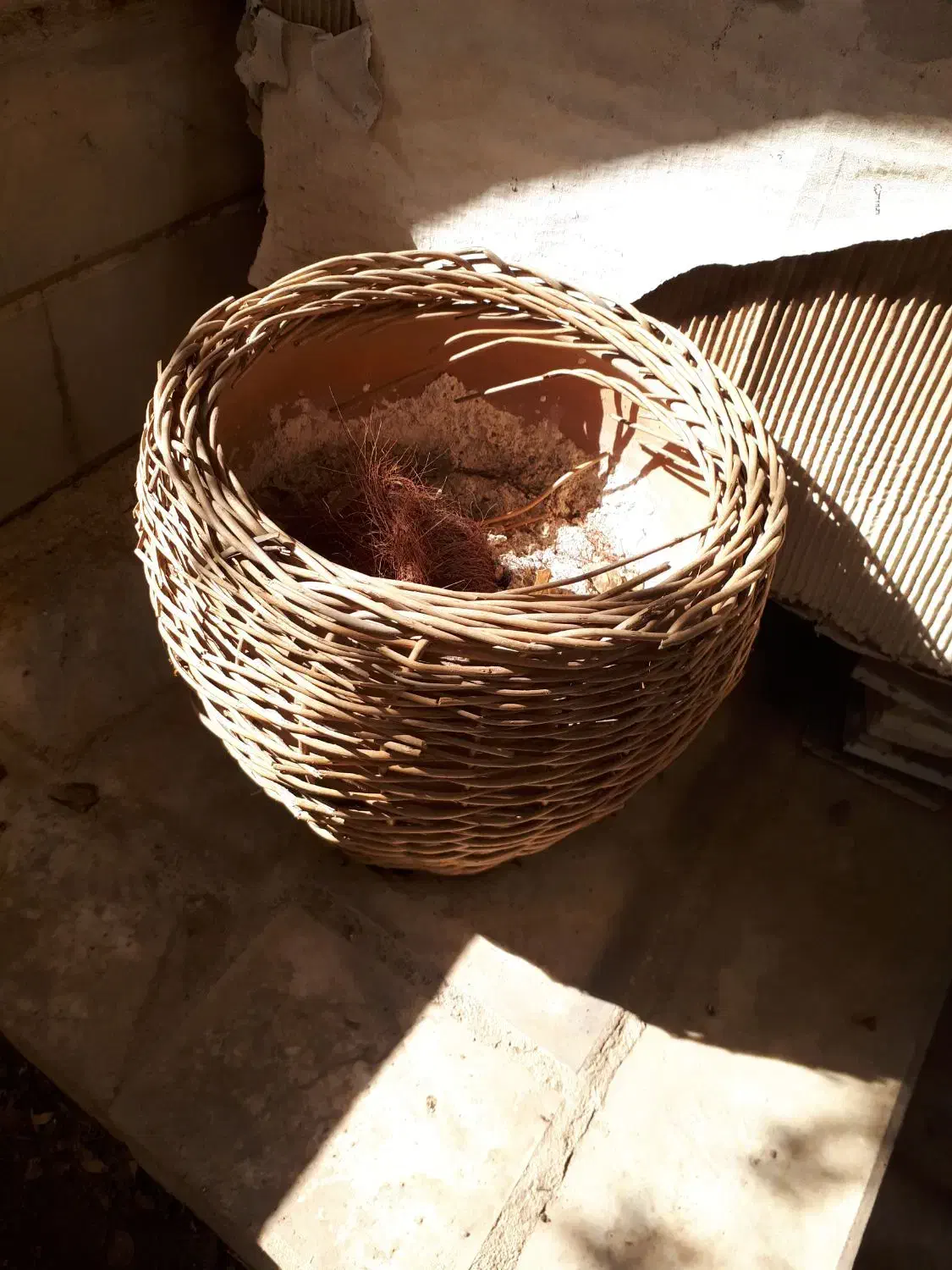 گلدان|صنایع دستی و سایر لوازم تزئینی|قم, تولید دارو و یخچال|دیوار