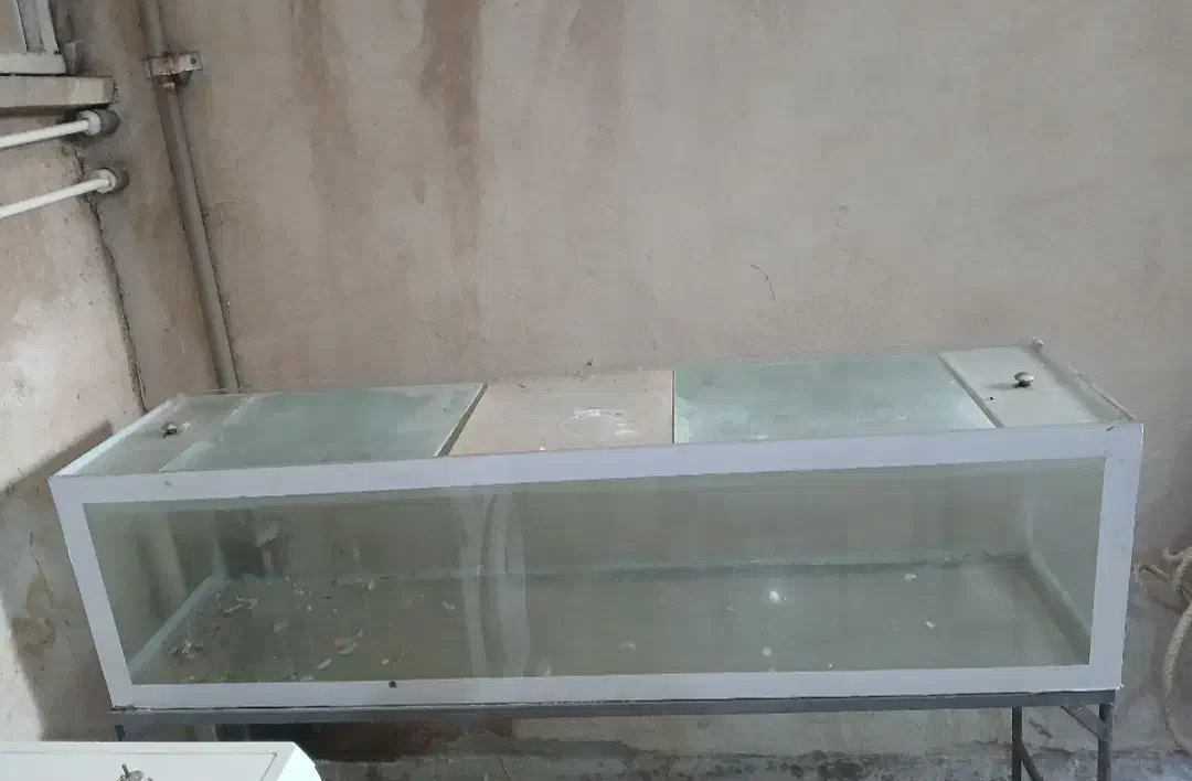 فروش آکواریوم فوری|ماهی|ری, حمزهآباد|دیوار