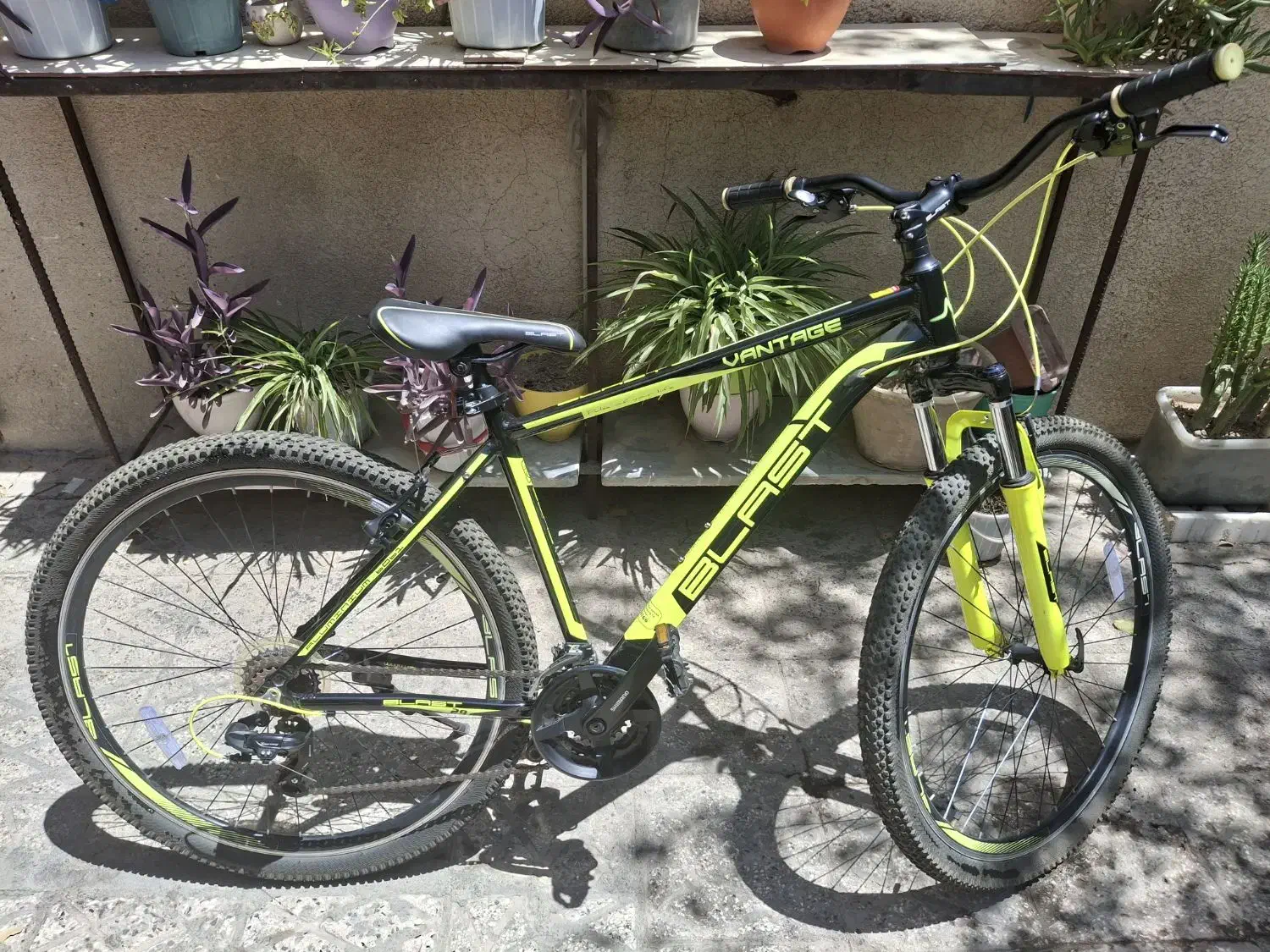 دوچرخه بلست سایز 29|دوچرخه، اسکیت، اسکوتر|تهران, امام زاده عبدالله|دیوار