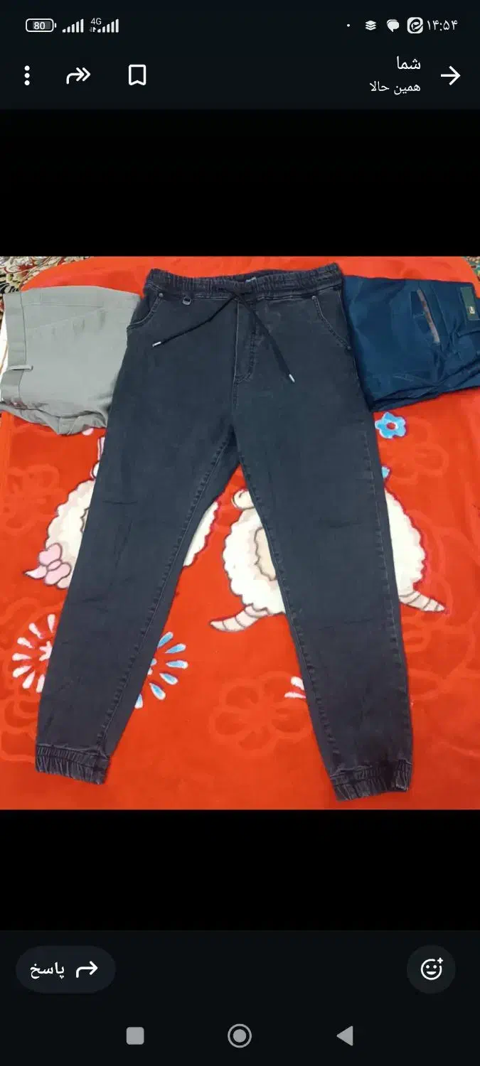 شلوار جین|لباس|زاهدان, |دیوار