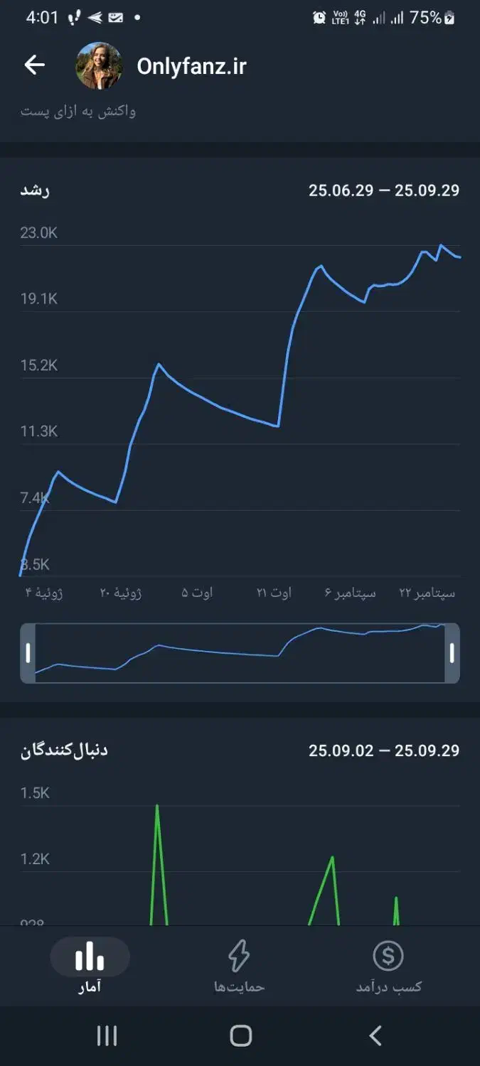 فروش دو تا کانال تلگرام با سه تا ربات|لوازم جانبی موبایل و تبلت|نور, |دیوار