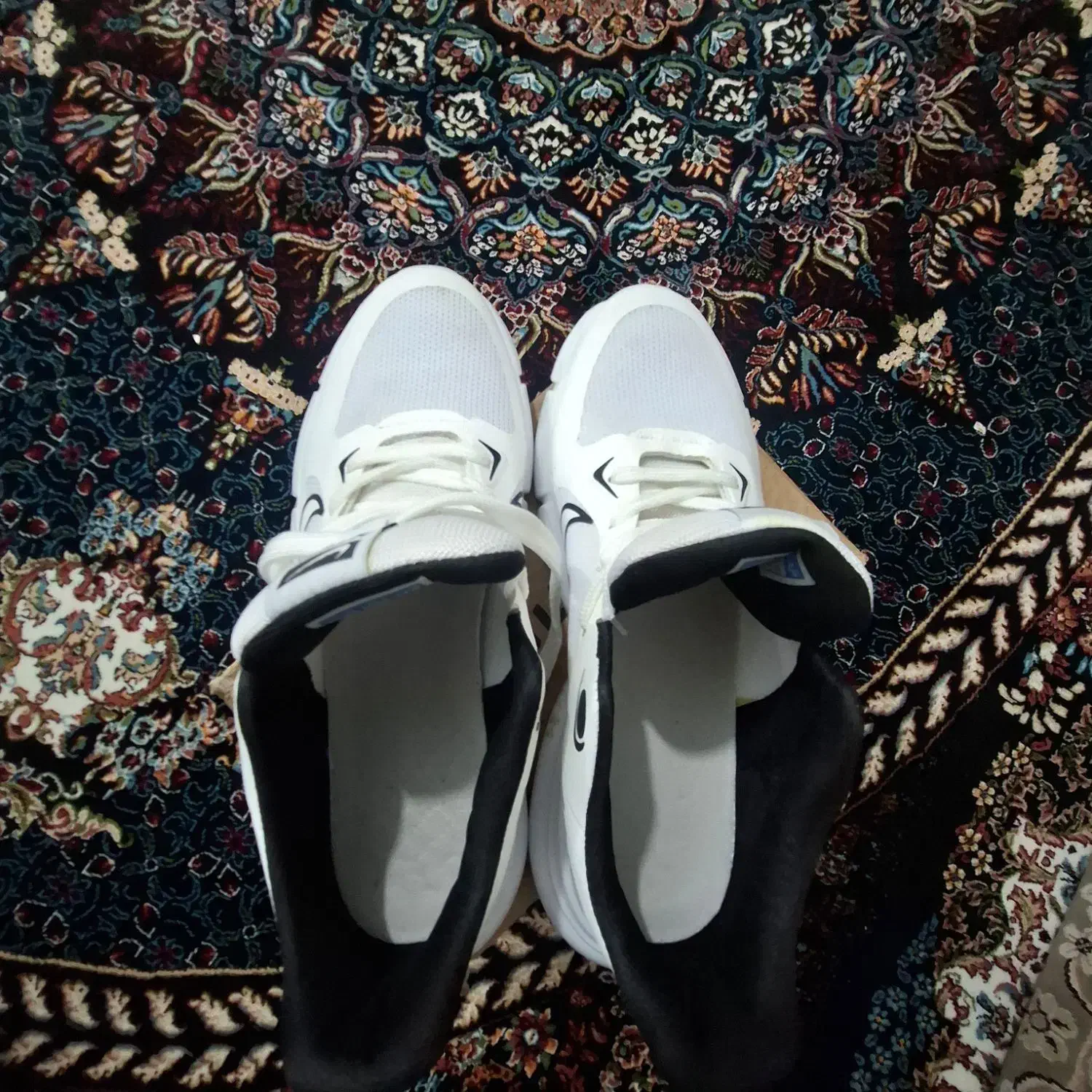 کفش|کیف، کفش، کمربند|سنقر, |دیوار