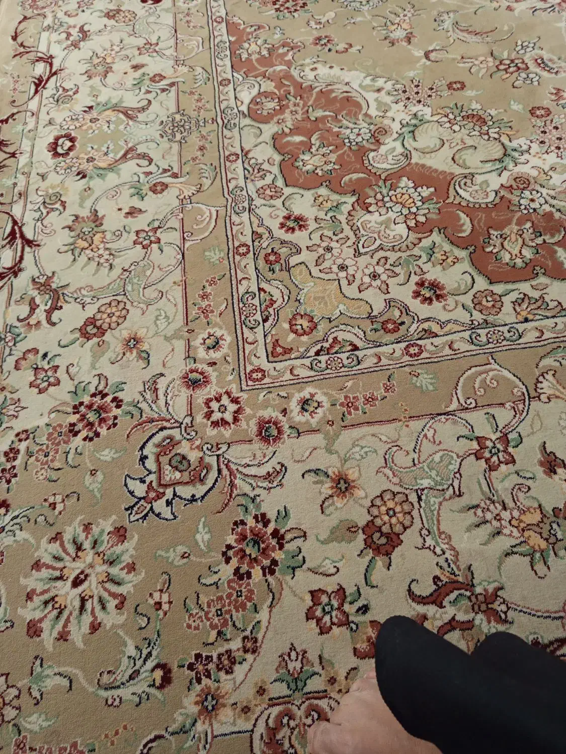 دو جفت فرش مشهد|فرش|تربت‌حیدریه, شهرک ولیعصر|دیوار