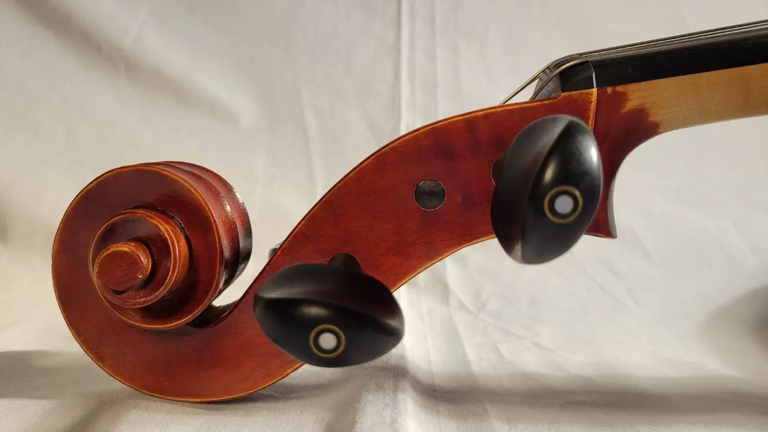 ویلنسل - cello|ویولن|مشهد, موسوی قوچانی|دیوار