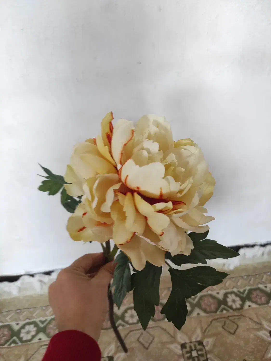 ۸عدد گل|گل مصنوعی|خرم‌آباد, |دیوار