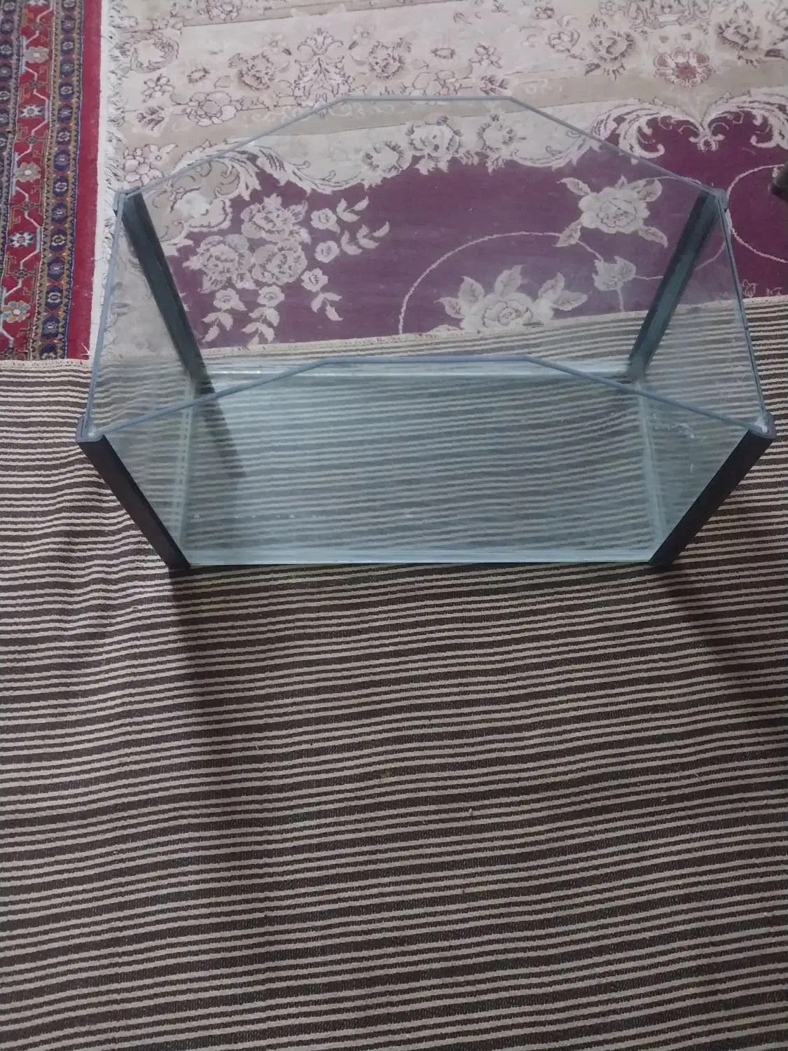 آکواریوم با لوازم|ماهی|نجفآباد, جوزدان|دیوار