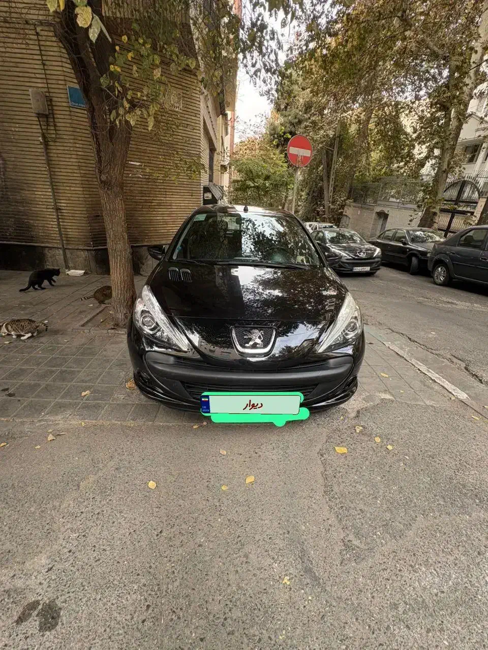 پژو ۲۰۷ مدل ۱۴۰۱ سقف فلز دنده|خودرو سواری و وانت|تهران, گیشا|دیوار