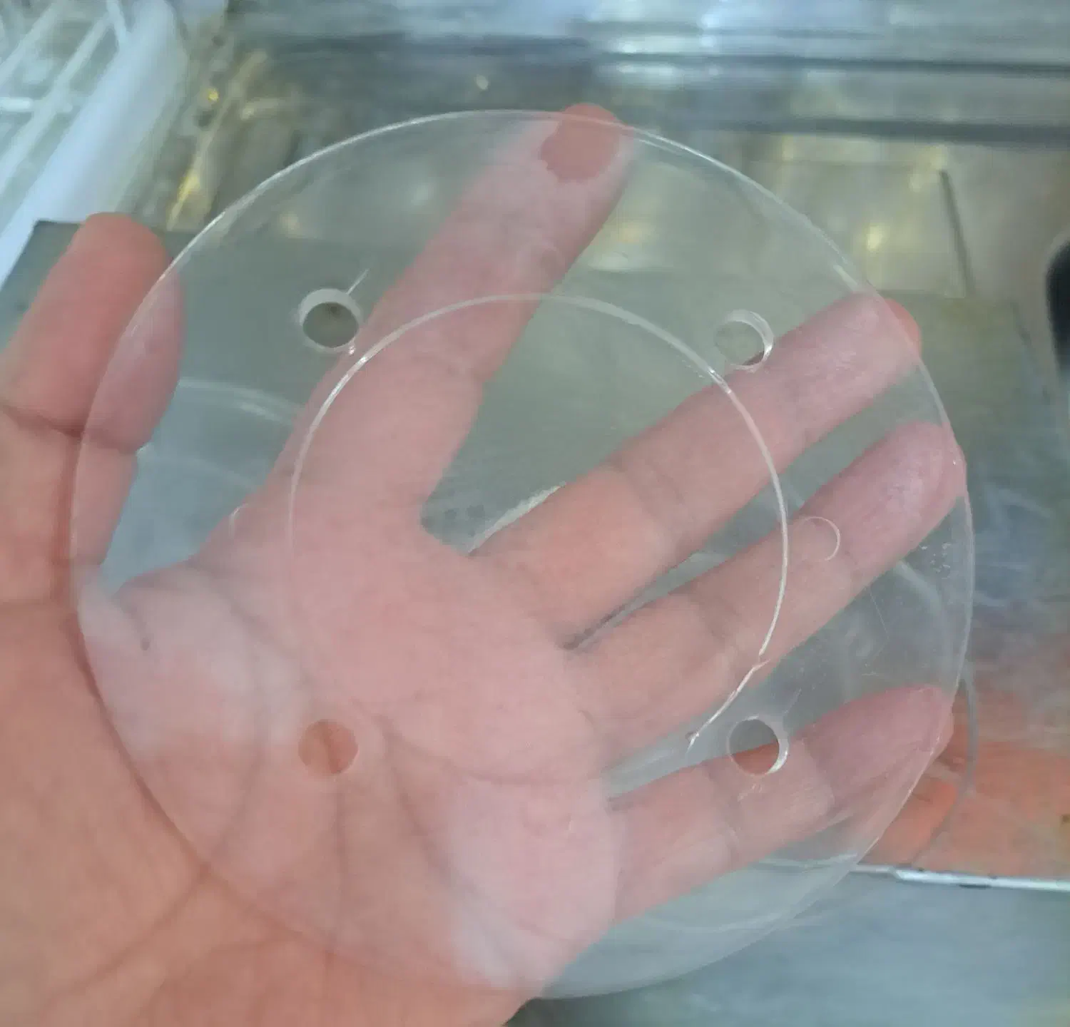 زیر کیکی|ظروف نگهدارنده، پلاستیکی، یکبارمصرف|مشهد, کلاته برفی|دیوار