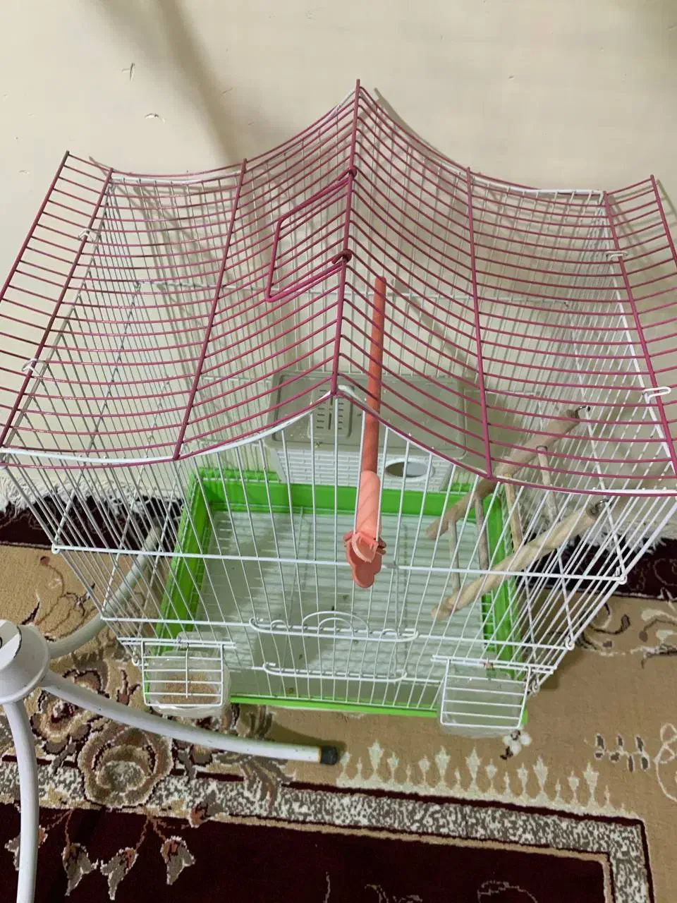 دو عدد قفس کلاسیک|لوازم جانبی حیوانات|تربت جام, شهرک معلم|دیوار