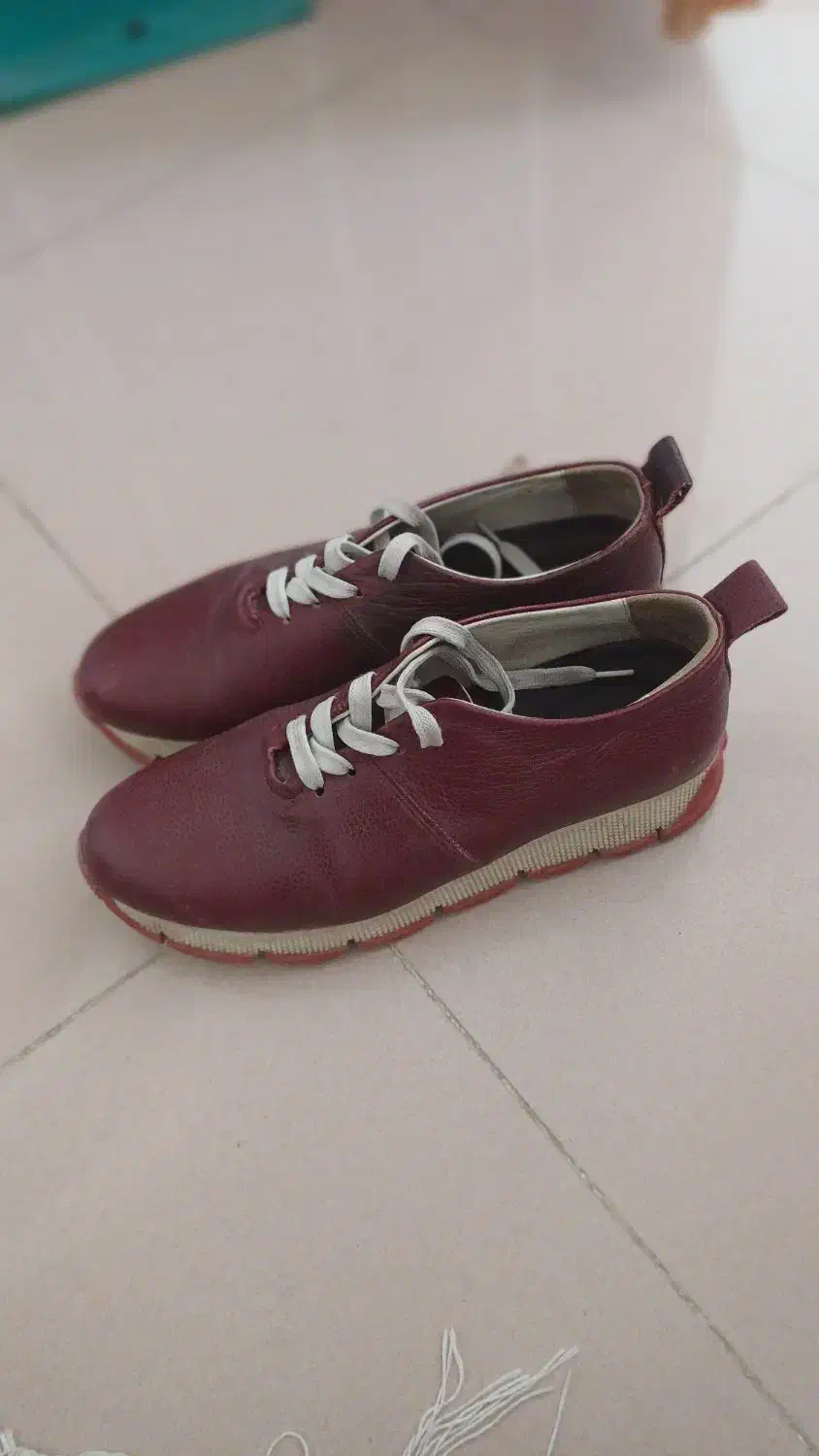 کفش چرم طبیعی|کیف، کفش، کمربند|اردبیل, |دیوار