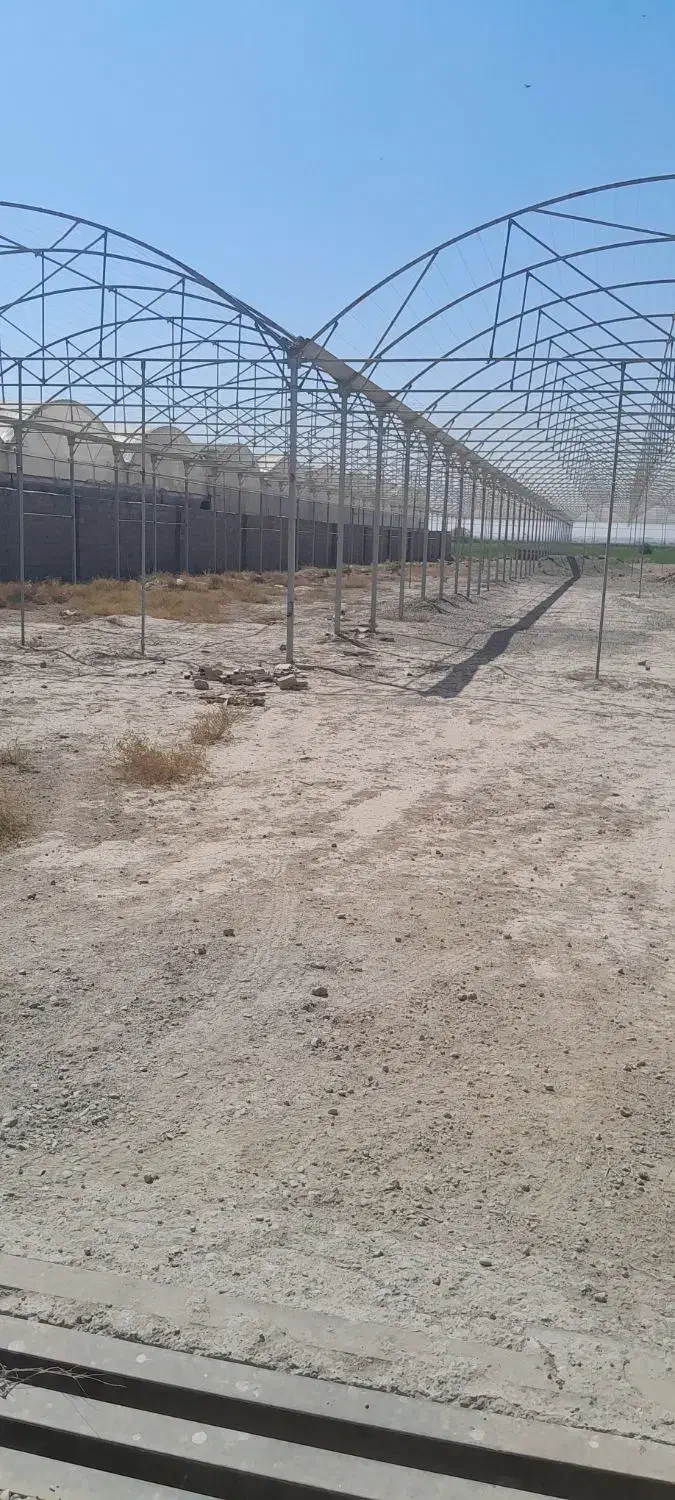 گلخانه/شهرک گلفام|فروش دفتر صنعتی، کشاورزی، تجاری|پاکدشت, پاکدشت (مامازند)|دیوار