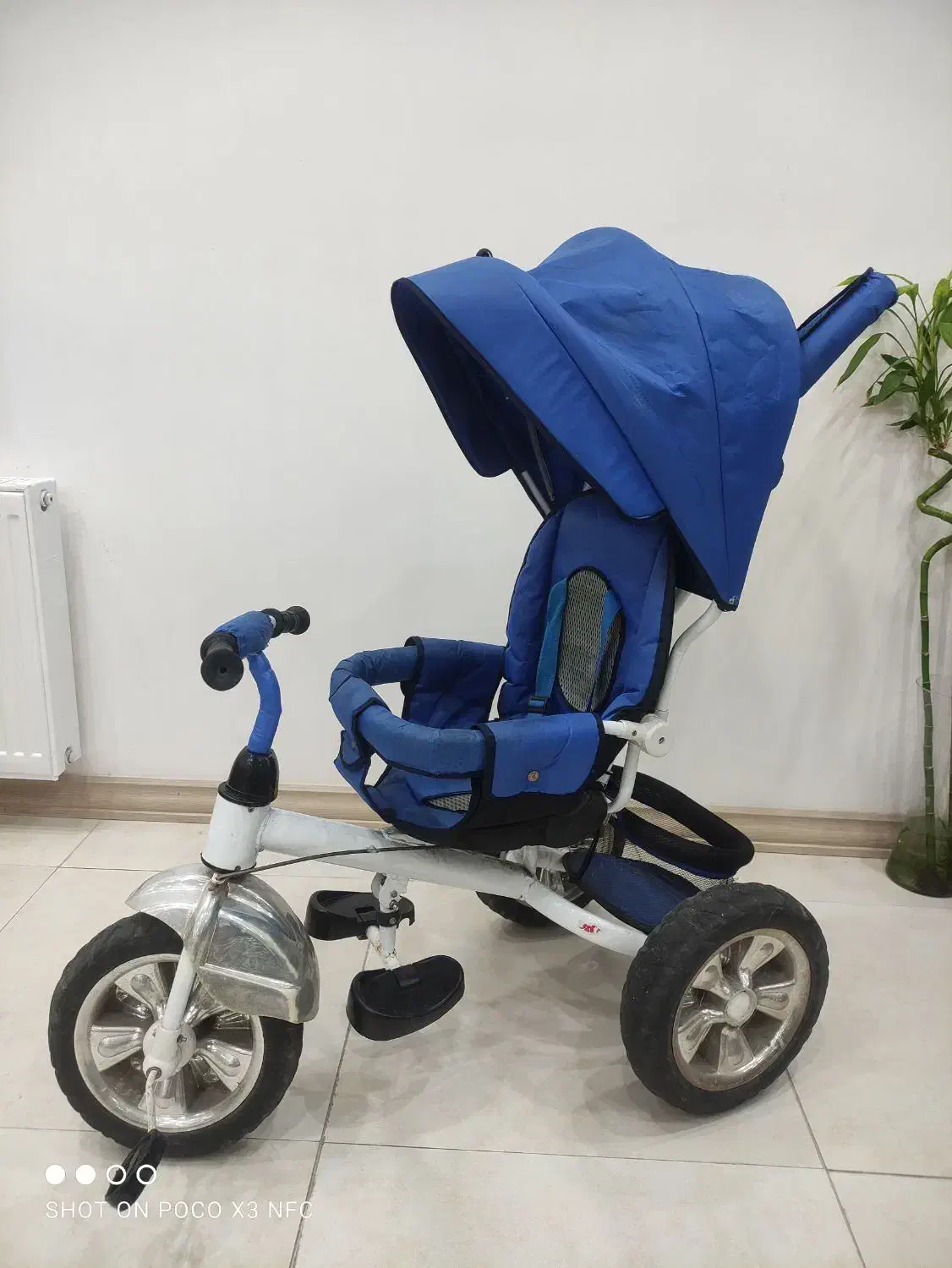 سه چرخه|دوچرخه، اسکیت، اسکوتر|رشت, فلسطین|دیوار