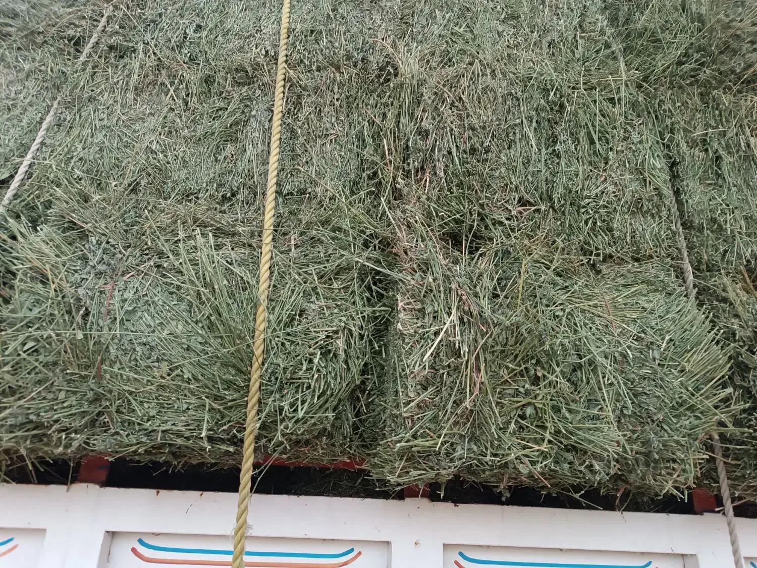 یونجه انباری درجه یک|عمدهفروشی|شیرینسو, |دیوار