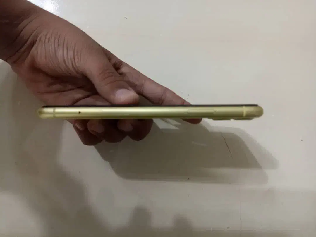 iPhone 11|موبایل|یزد, |دیوار