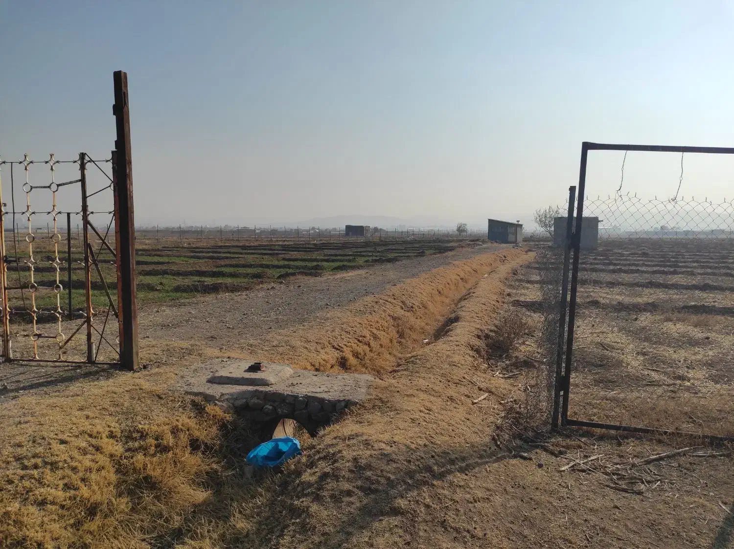 فروش زمین گلخانه8000متری|فروش دفتر صنعتی، کشاورزی، تجاری|خسروشاه, |دیوار