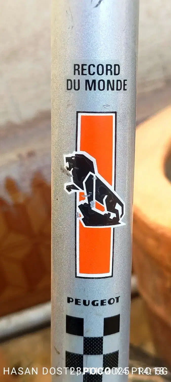 ورزشی|دوچرخه، اسکیت، اسکوتر|تهران, امام زاده عبدالله|دیوار