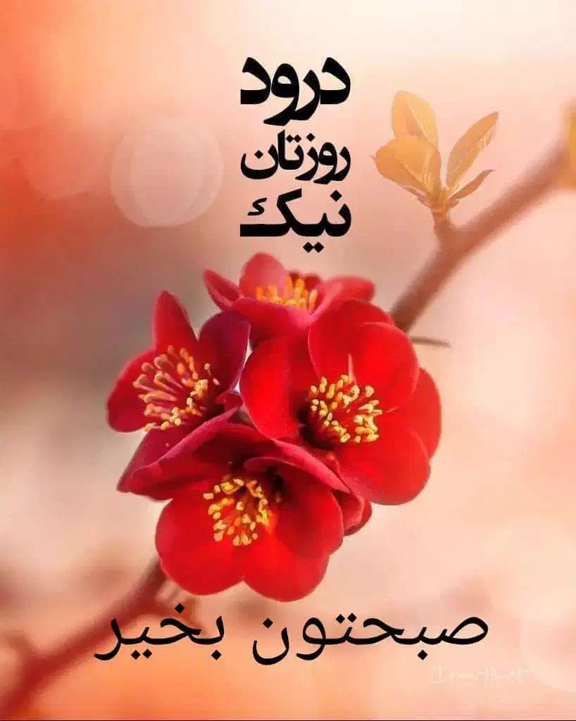 فروشنده خانم|استخدام بازاریابی و فروش|اسلامیه, |دیوار