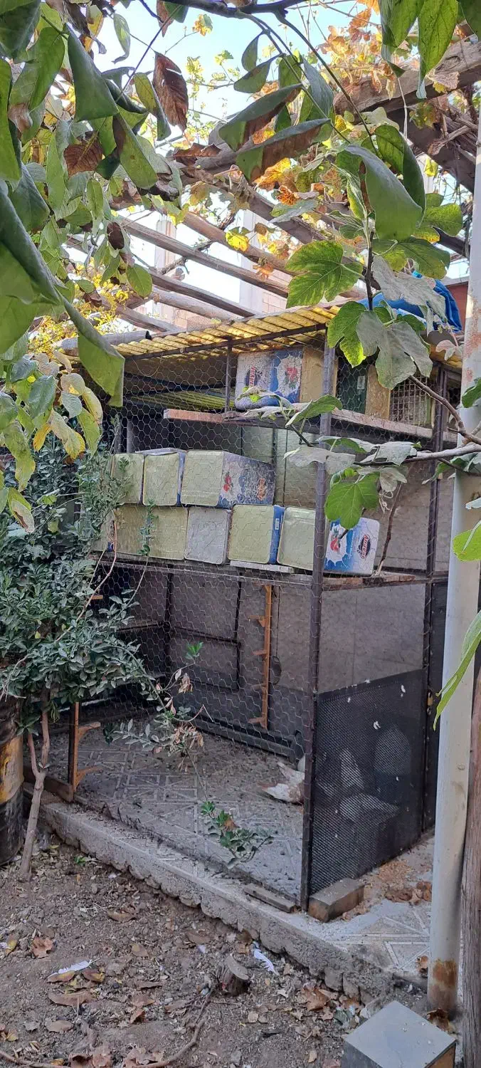 قفس|لوازم جانبی حیوانات|مبارکه, |دیوار