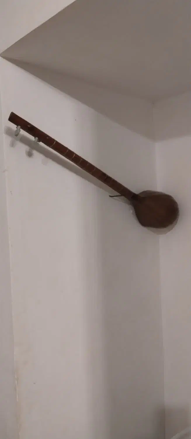 سه تارتظینی|سازهای سنتی|کاشمر, |دیوار