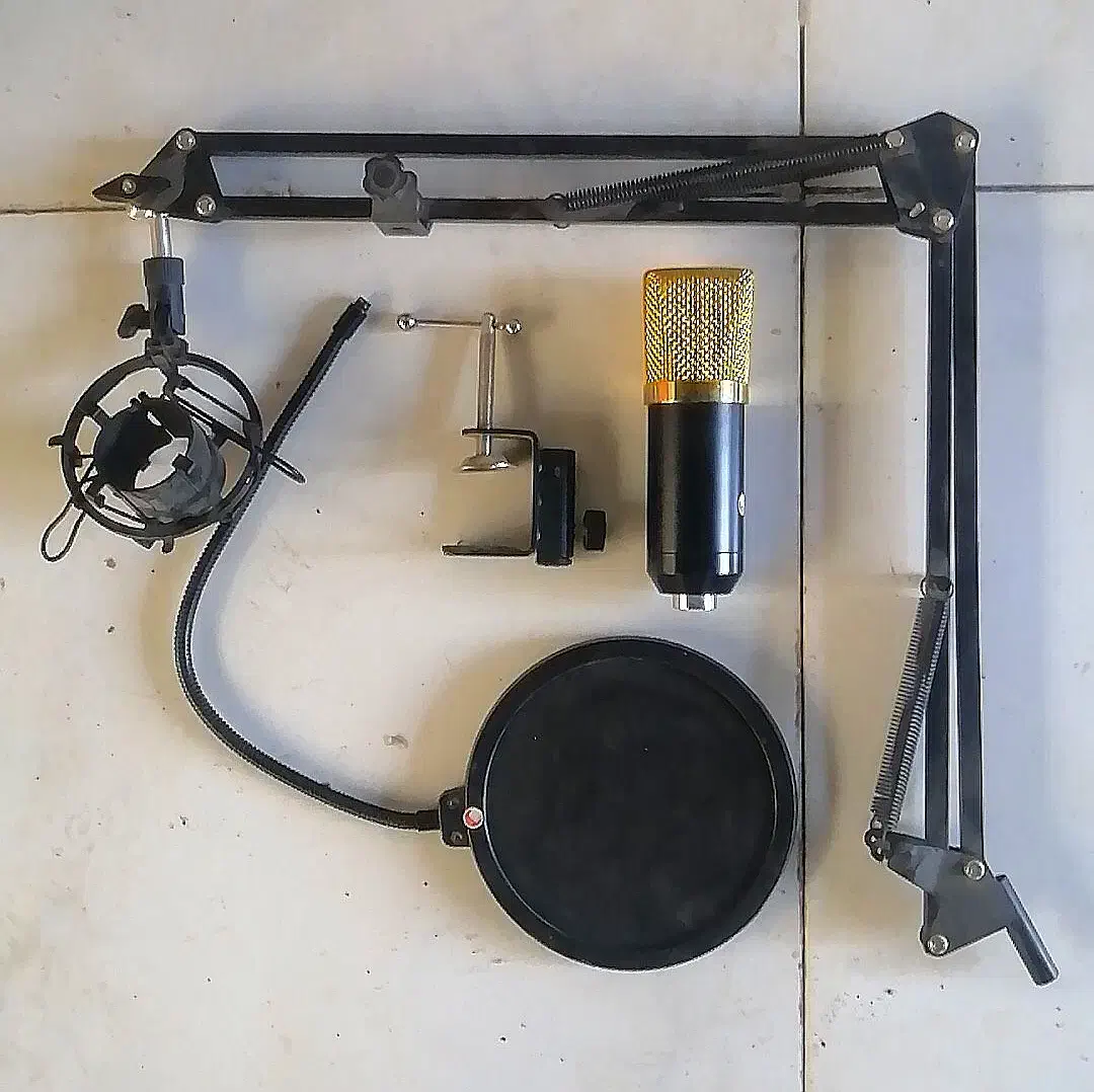 یک عدد میکروفون استودیویی|آلات موسیقی|بجنورد, |دیوار