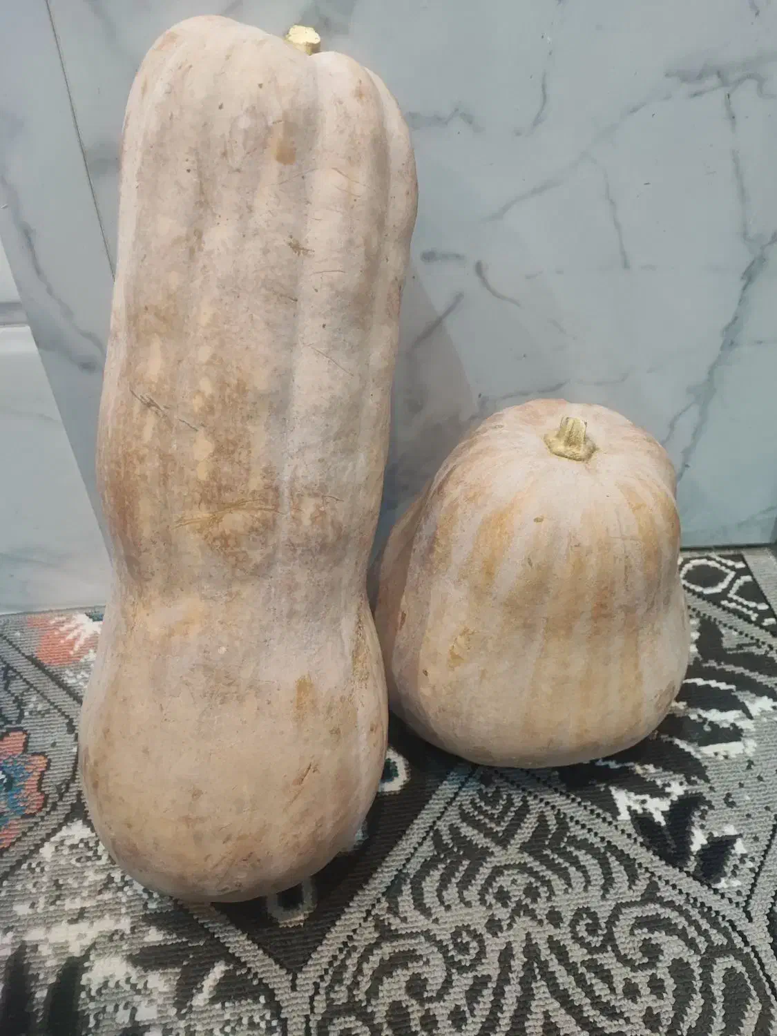 کدومحلی بهره|خوردنی و آشامیدنی|لنگرود, |دیوار